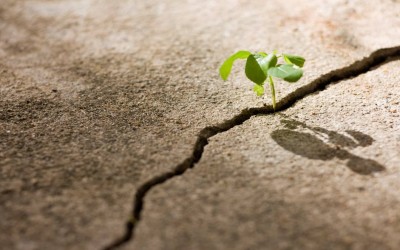 কুর’আনের দৃষ্টিতে সব দেখা