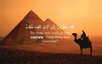 জান্নাতের দরজা